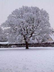 Wirral Snow